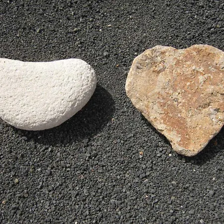 Casa Oscar 度假居